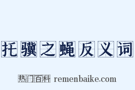 托骥之蝇反义词是什么意思的图片